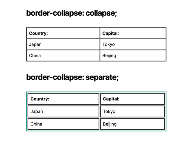 CSS border-collapse Property