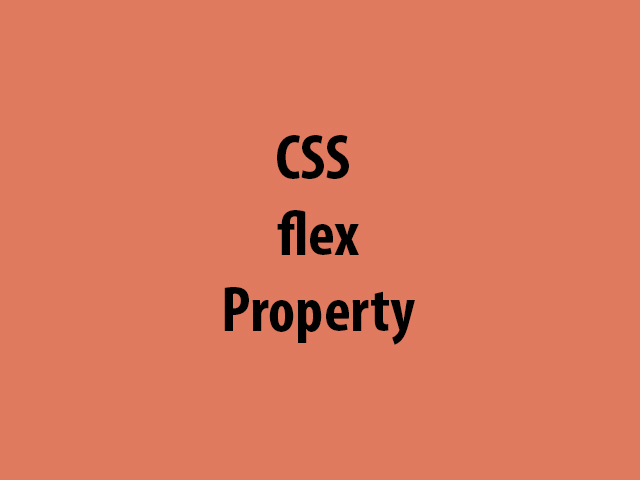 CSS flex Property